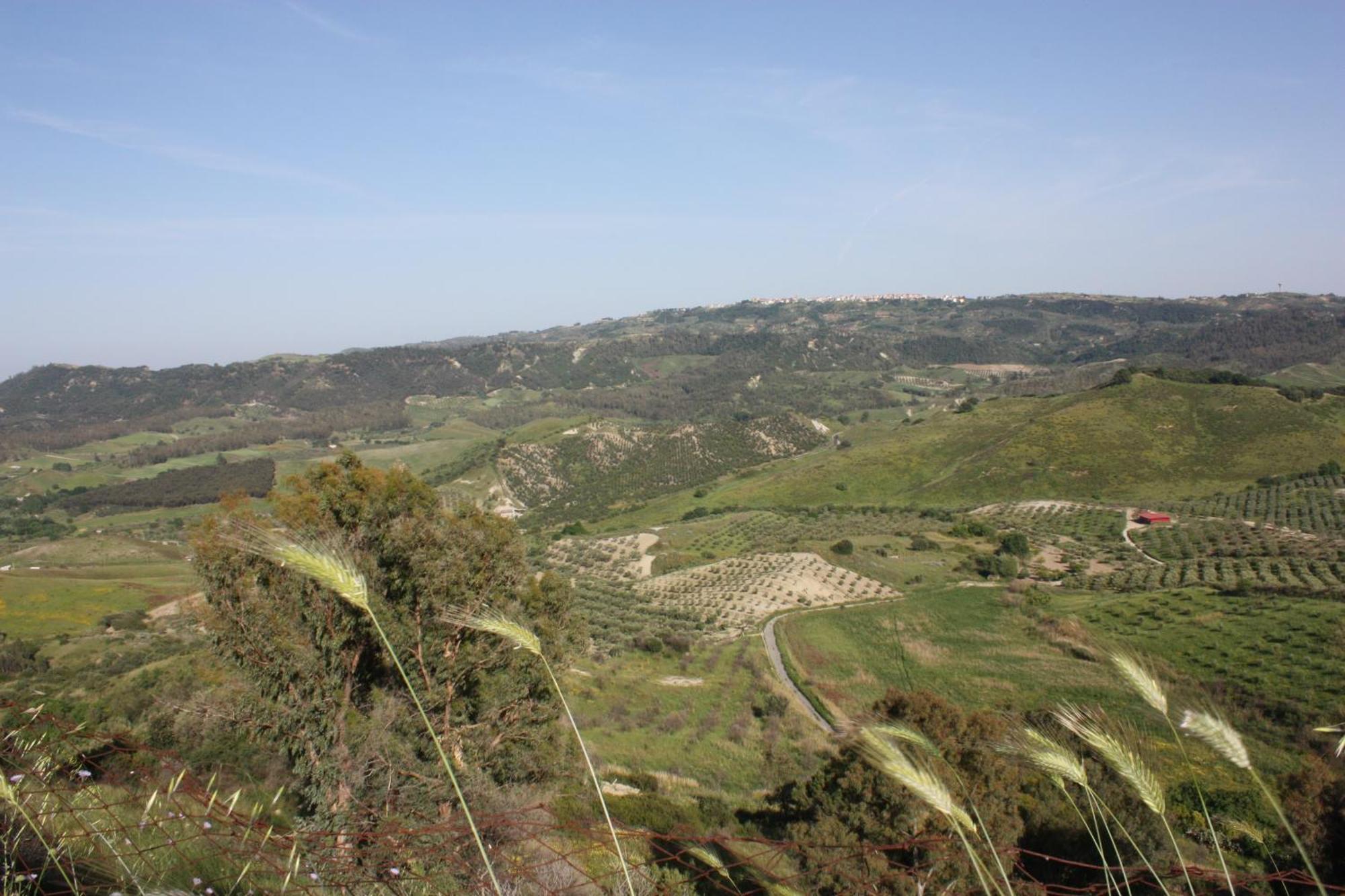 Azienda Agrituristica Biologica Il Querceto Santa Severina Eksteriør billede