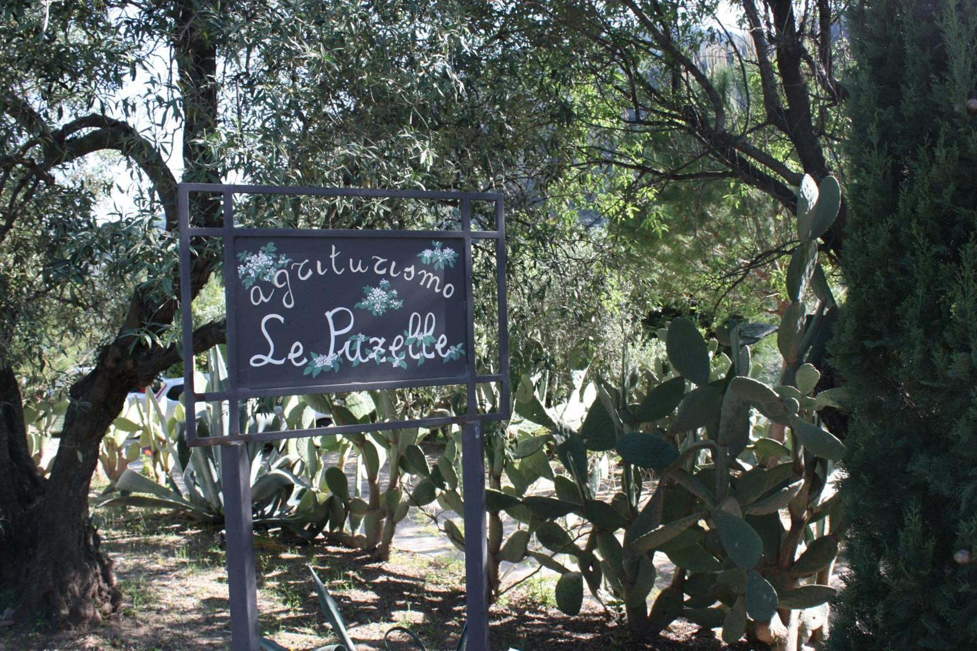 Azienda Agrituristica Biologica Il Querceto Santa Severina Eksteriør billede