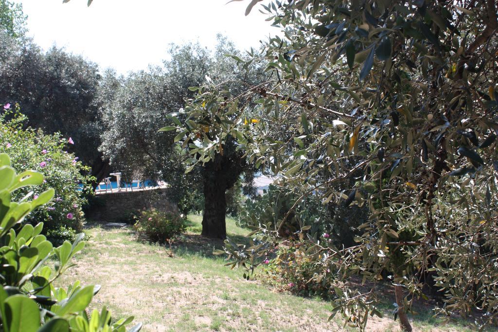 Azienda Agrituristica Biologica Il Querceto Santa Severina Eksteriør billede