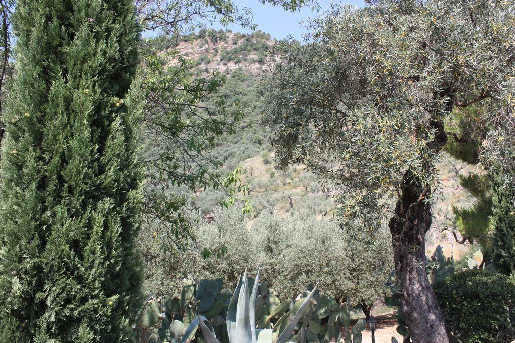 Azienda Agrituristica Biologica Il Querceto Santa Severina Eksteriør billede