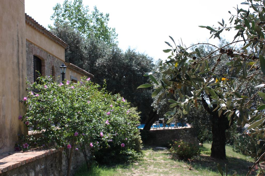 Azienda Agrituristica Biologica Il Querceto Santa Severina Eksteriør billede