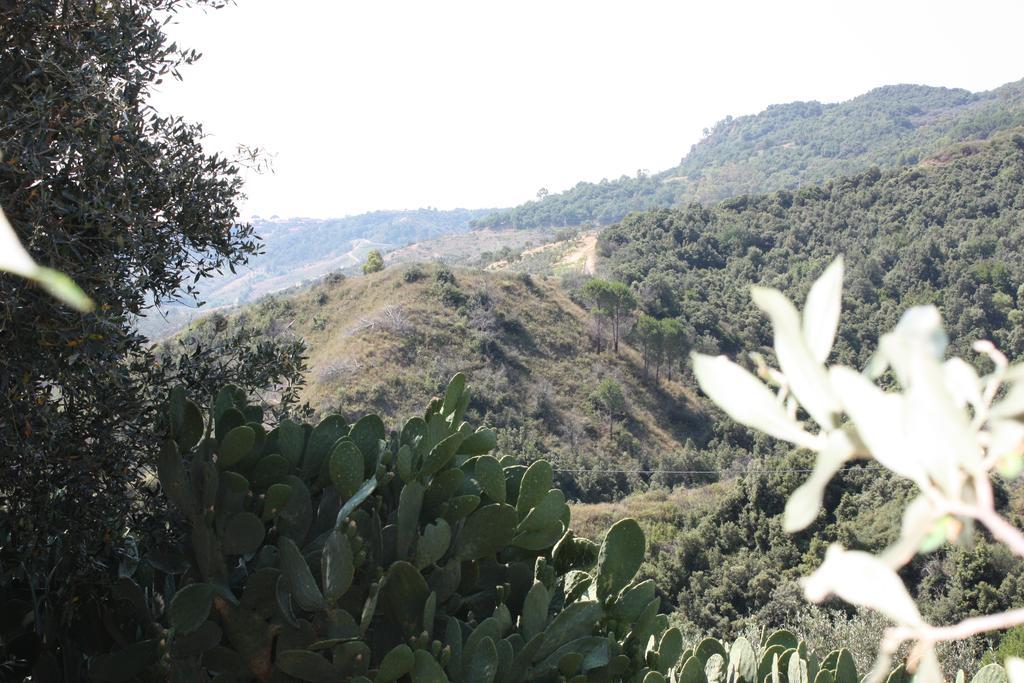 Azienda Agrituristica Biologica Il Querceto Santa Severina Eksteriør billede