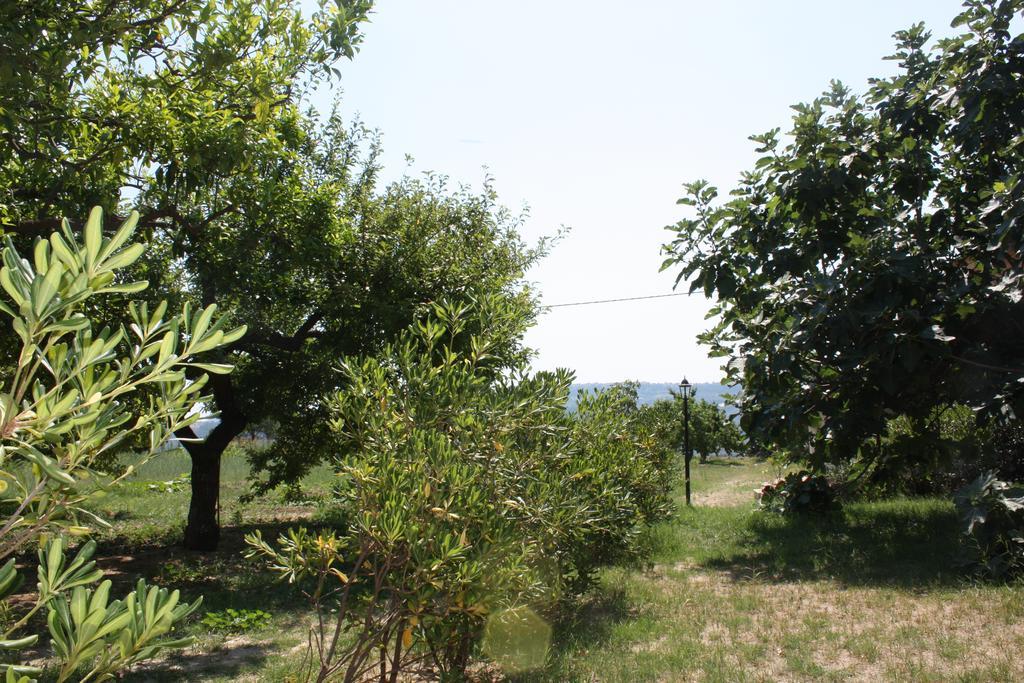 Azienda Agrituristica Biologica Il Querceto Santa Severina Eksteriør billede