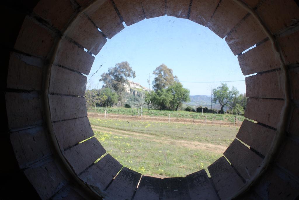 Azienda Agrituristica Biologica Il Querceto Santa Severina Eksteriør billede