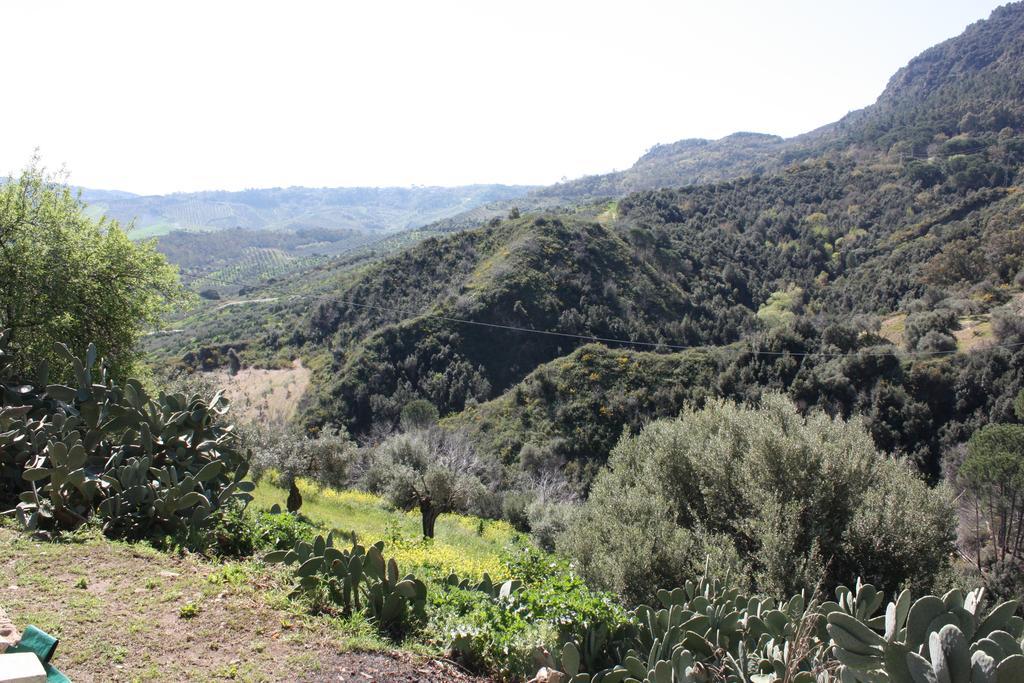 Azienda Agrituristica Biologica Il Querceto Santa Severina Eksteriør billede