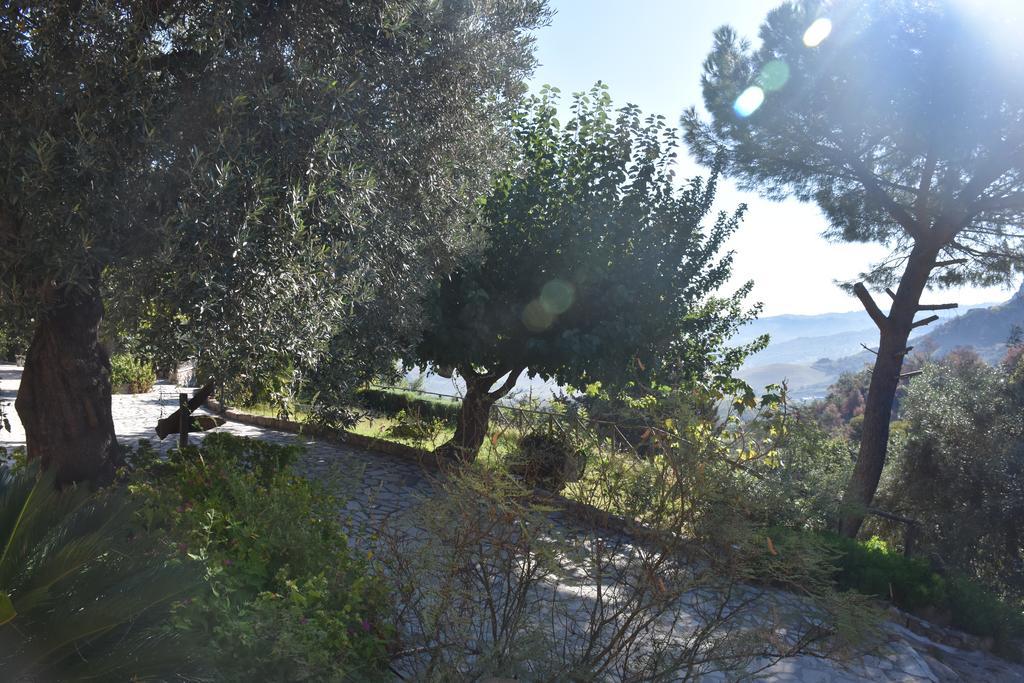 Azienda Agrituristica Biologica Il Querceto Santa Severina Eksteriør billede