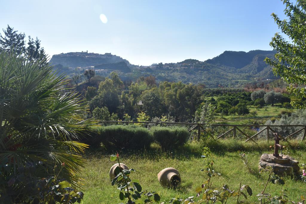 Azienda Agrituristica Biologica Il Querceto Santa Severina Eksteriør billede