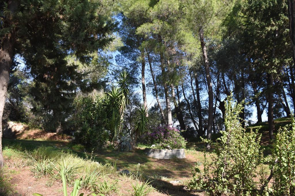 Azienda Agrituristica Biologica Il Querceto Santa Severina Eksteriør billede